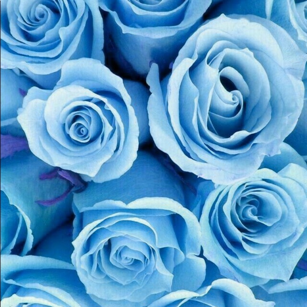 Meet your Posher, Taisha